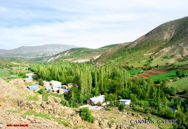 ÇAKMAK (SIĞIRCIUŞAGI)- KINIK