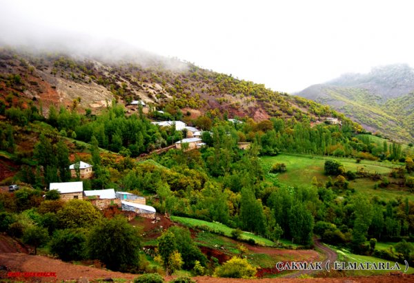 ÇAKMAK (SIĞIRCIUŞAGI) -ELMATARLA