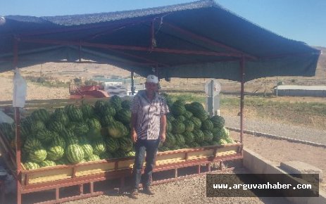 ARGUVAN’DA KARPUZ ÜRETİCİNİN YÜZÜNÜ GÜLDÜRDÜ