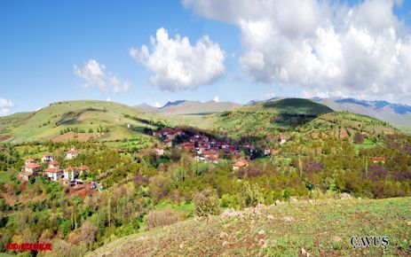 ÇAVUŞ MAHALLESİNDEN MELEK GÜLBAŞ HAYATINI KAYBETTİ