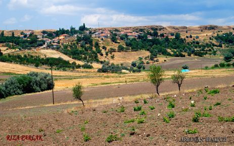 HALPUZ MAHALLESİNDEN METİN ERKAYA HAYATINI KAYBETTİ