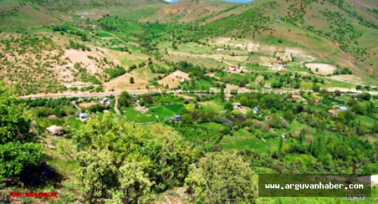 ARMUTLU MAHALLESİNDEN LÜTFİYE ÖZDEMİR HAYATINI KAYBETTİ