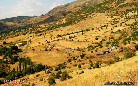 ALHASUŞAĞI (BAHŞİKAN) MAHALLESİNDEN HANO ÇELİK HAYATINI KAYBETTİ