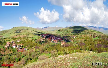 ÇAVUŞ MAH. ALİ HÜSEYİN ÖZBAY HAYATINI KAYBETTİ