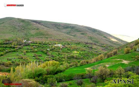 KONAKBAŞI MAH. NADİRE ÖZMERAL ALMANYADA HAYATINI KAYBETTİ