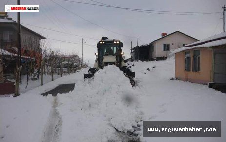 Arguvan'da kar yağışı etkili oldu