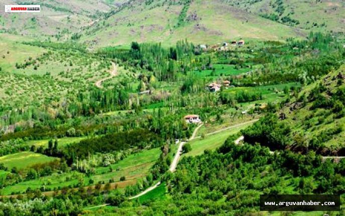 ALHASUŞAĞI MAH. LATİFE DÜZOVA İSTANBULDA HAYATINI KAYBETTİ