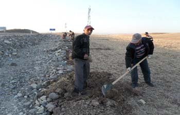 ARGUVAN MORHAMAM YOLU AĞAÇLANDIRILIYOR 