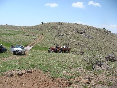 ARGUVAN'DA ÇEKİRGELERLE KARŞI MÜCADELE BAŞLATILDI