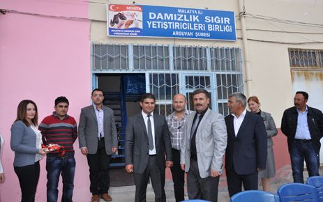 ARGUVAN’DA DAMIZLIK SIĞIR YETİŞTİRİCİLERİ  BİRLİĞİ AÇILDI