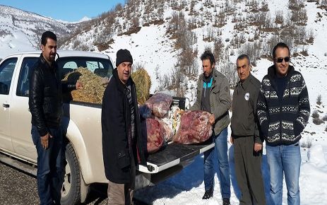 ARGUVAN'DA YABAN HAYVANLARI İÇİN DOĞAYA YEM BIRAKILDI