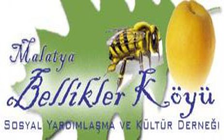 BELLİKLER DERNEĞİ WEB SİTESİ YAYININA DEVAM EDİYOR 