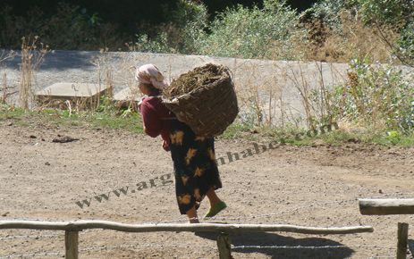 KADINLARIN EMEĞİ VE YAŞAMI YOK SAYILIYOR 