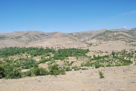 KURUTTAŞ MAHALLESİNDEN MAZLUM İNCE HAYATINI KAYBETTİ 