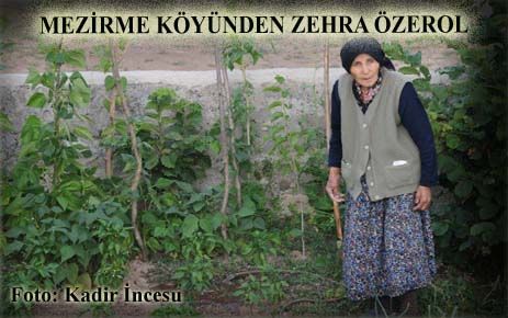 MEZİRME KÖYÜNDEN ZEHRA ÖZEROL HAYATINI KAYBETİ 