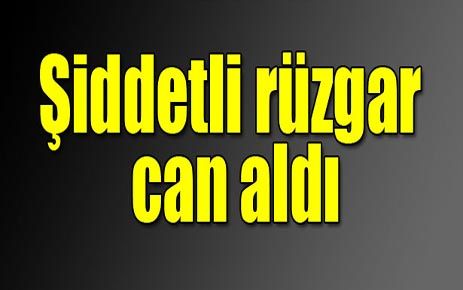 ŞİDDETLİ RÜZGAR ARGUVAN ÇERMİK KÖYÜNDE CAN ALDI 