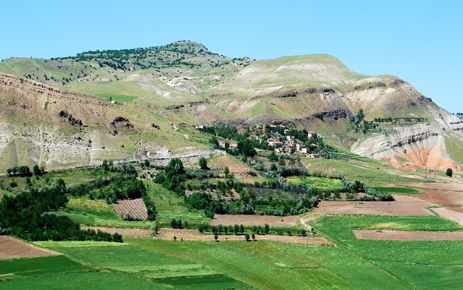  YAMAÇ (MİŞEDİ) MAHALLESİNDEN FATMA DOĞAN HAYATINI KAYBETTİ